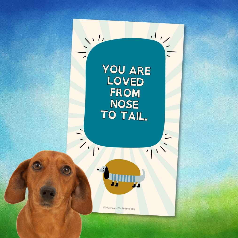 ARFirmations: The Affirmation Deck Written By Dogs