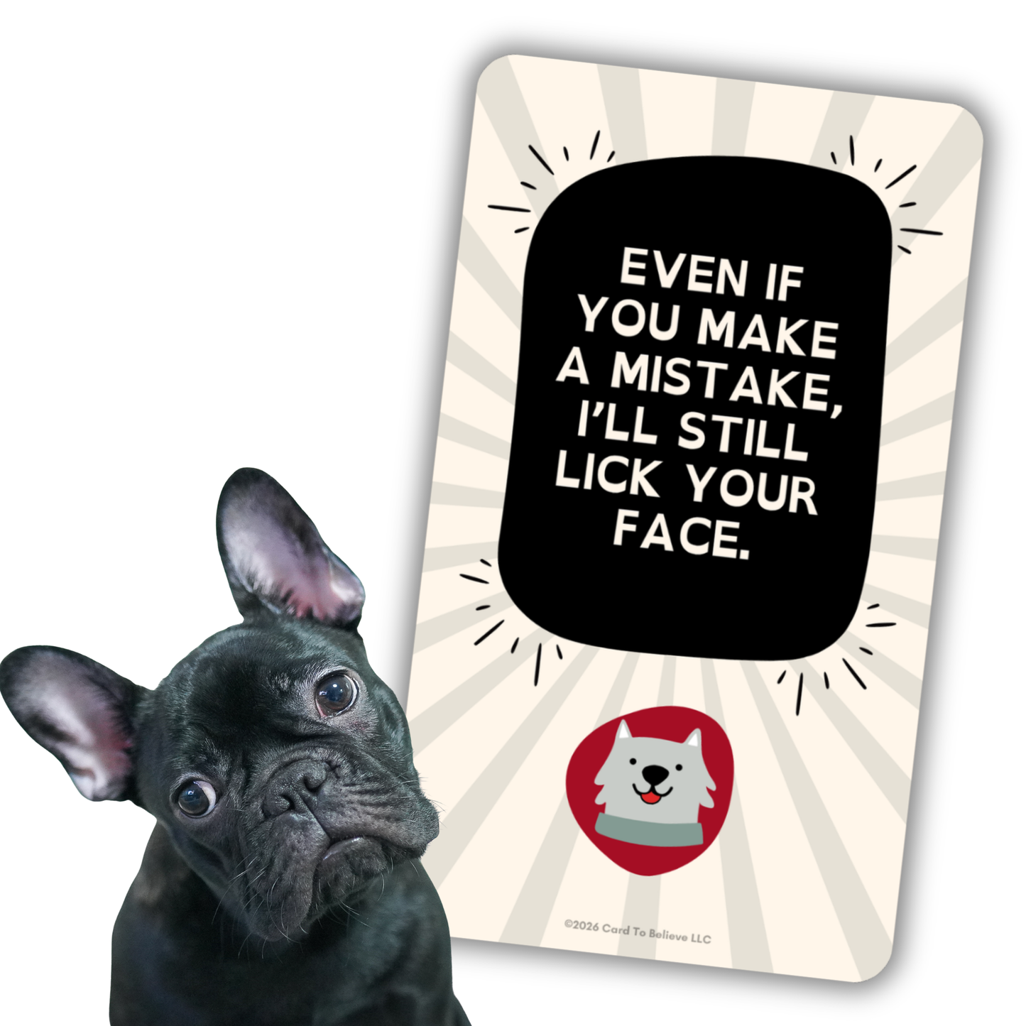 ARFirmations: The Affirmation Deck Written By Dogs