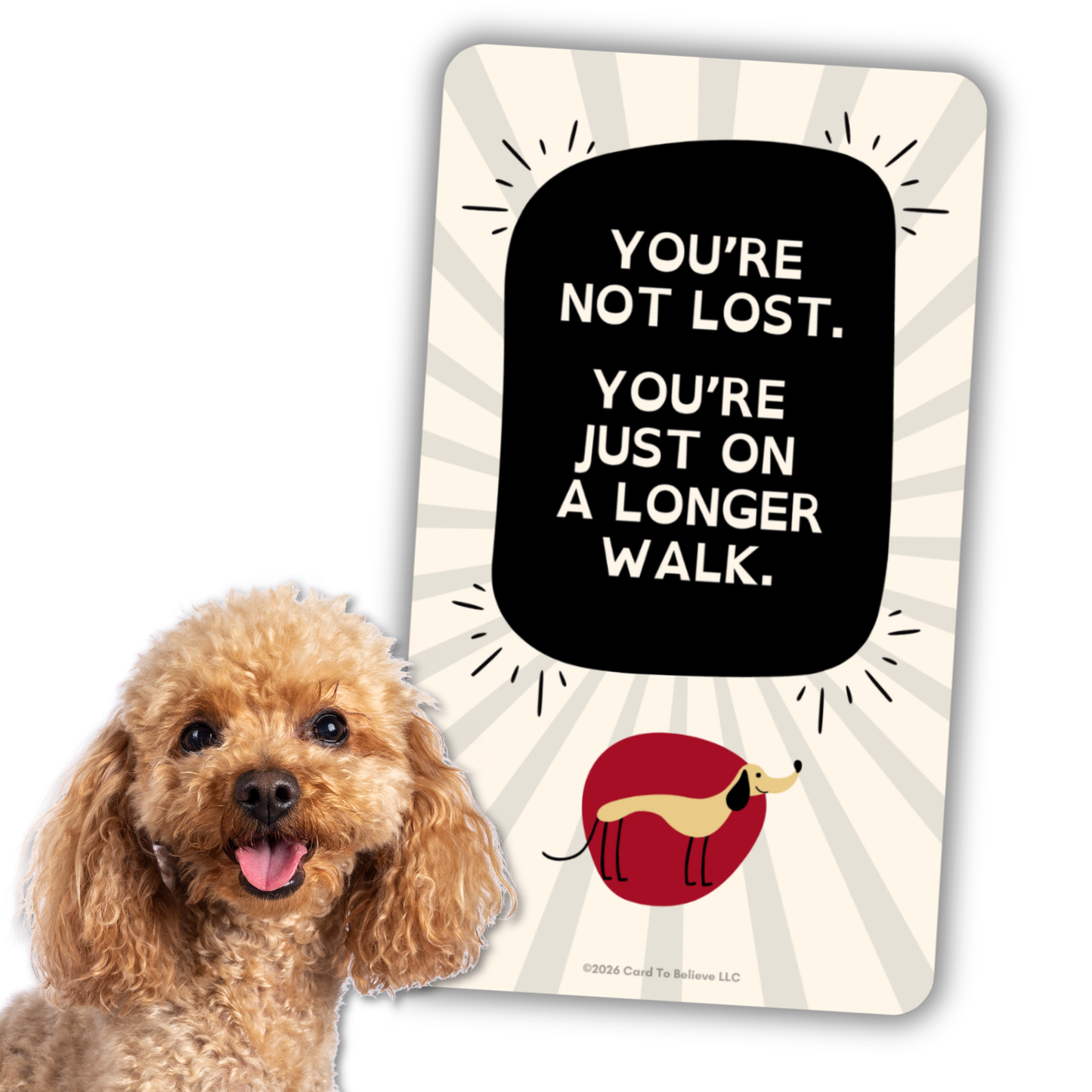 ARFirmations: The Affirmation Deck Written By Dogs