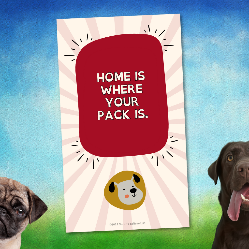 ARFirmations: The Affirmation Deck Written By Dogs