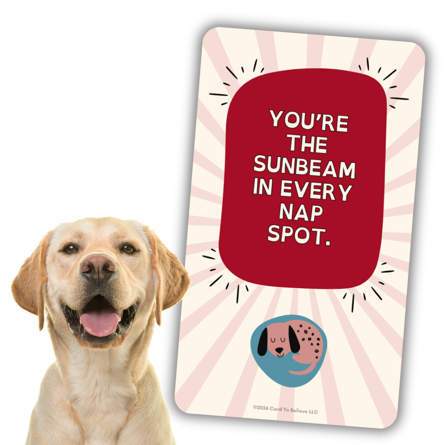 ARFirmations: The Affirmation Deck Written By Dogs
