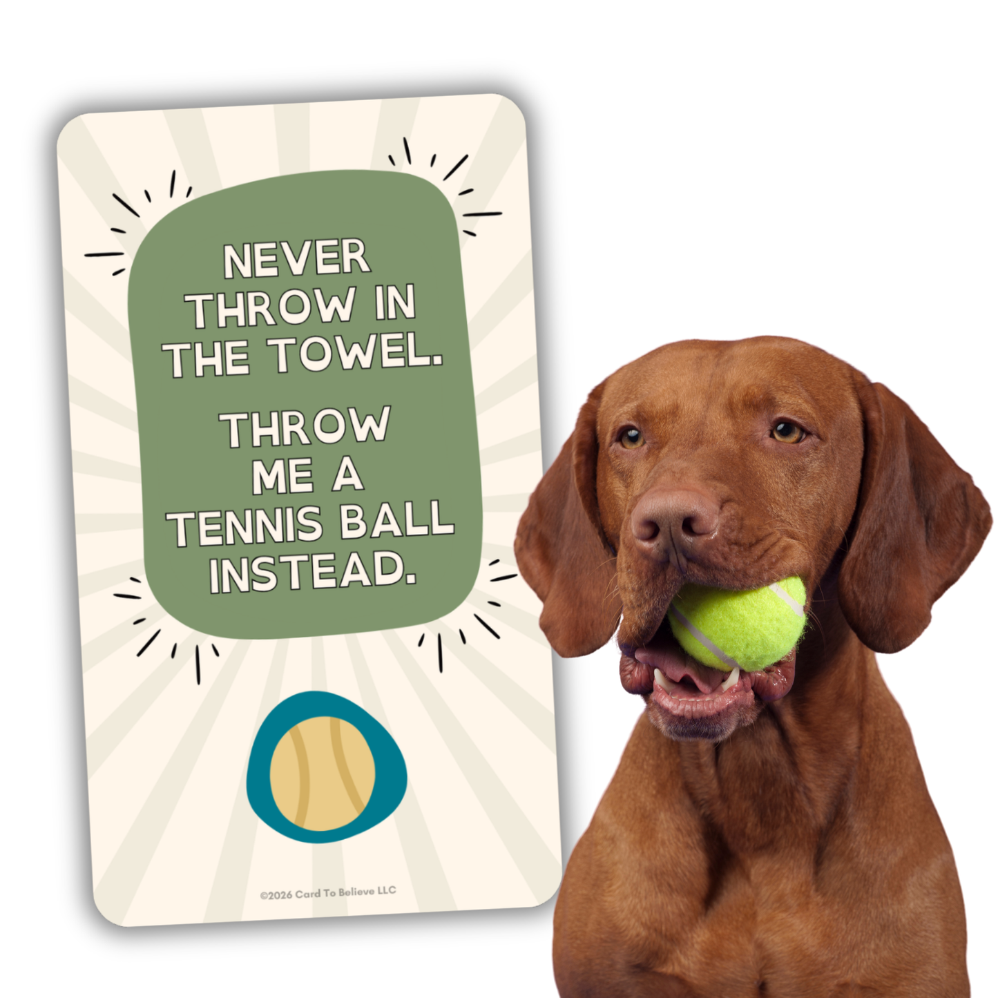 ARFirmations: The Affirmation Deck Written By Dogs