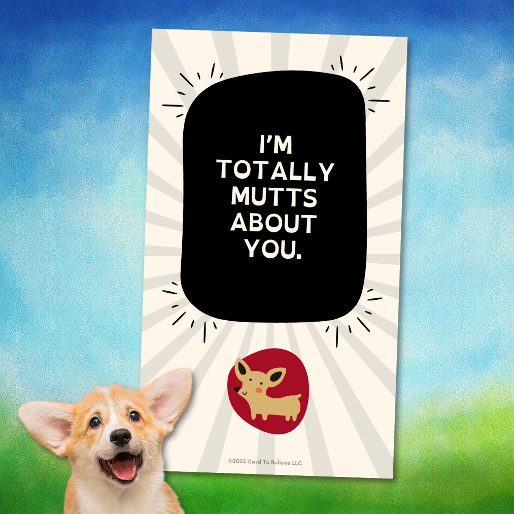 ARFirmations: The Affirmation Deck Written By Dogs