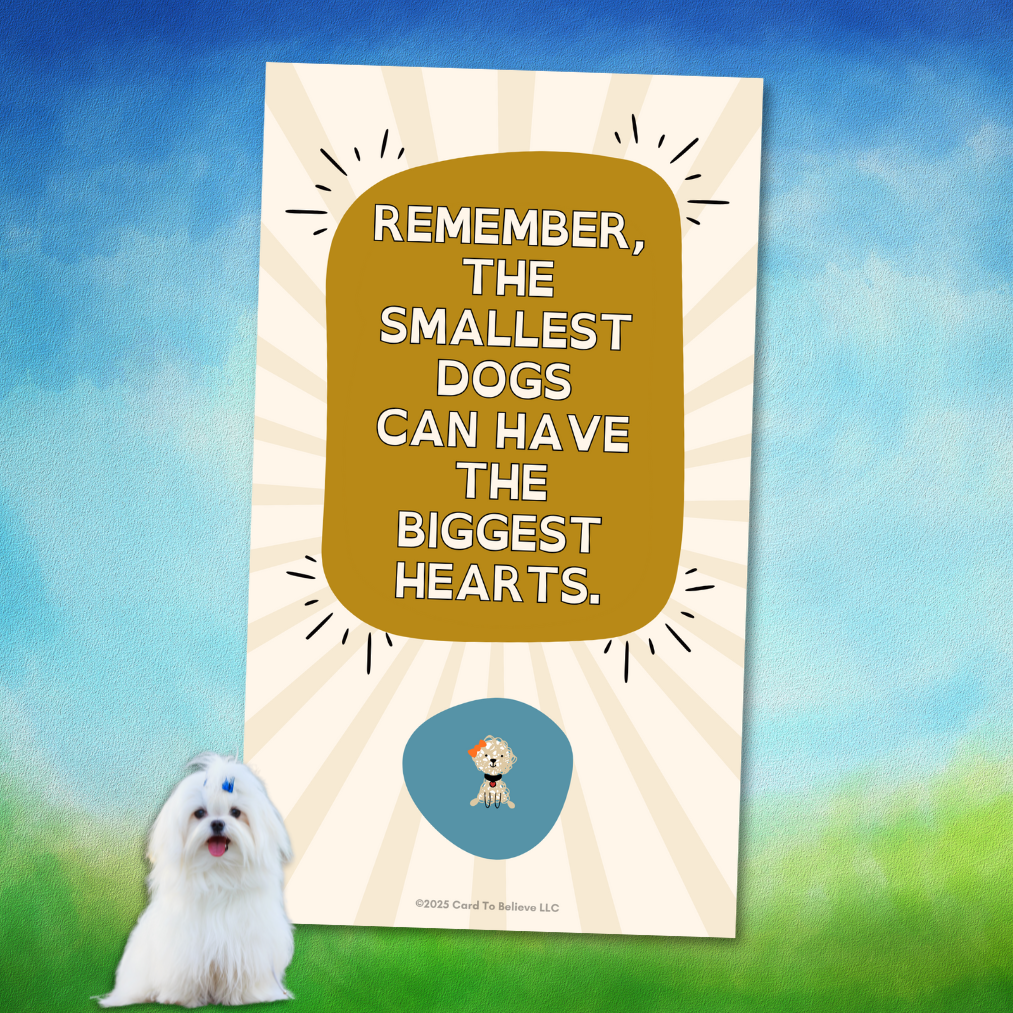 ARFirmations: The Affirmation Deck Written By Dogs