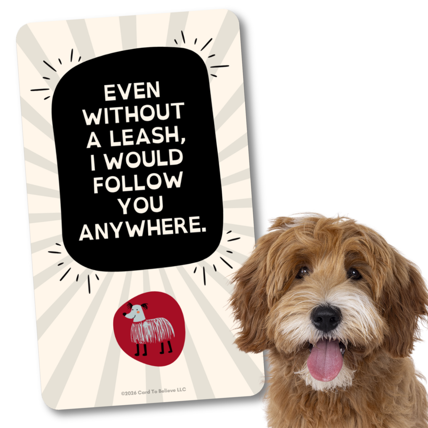 ARFirmations: The Affirmation Deck Written By Dogs