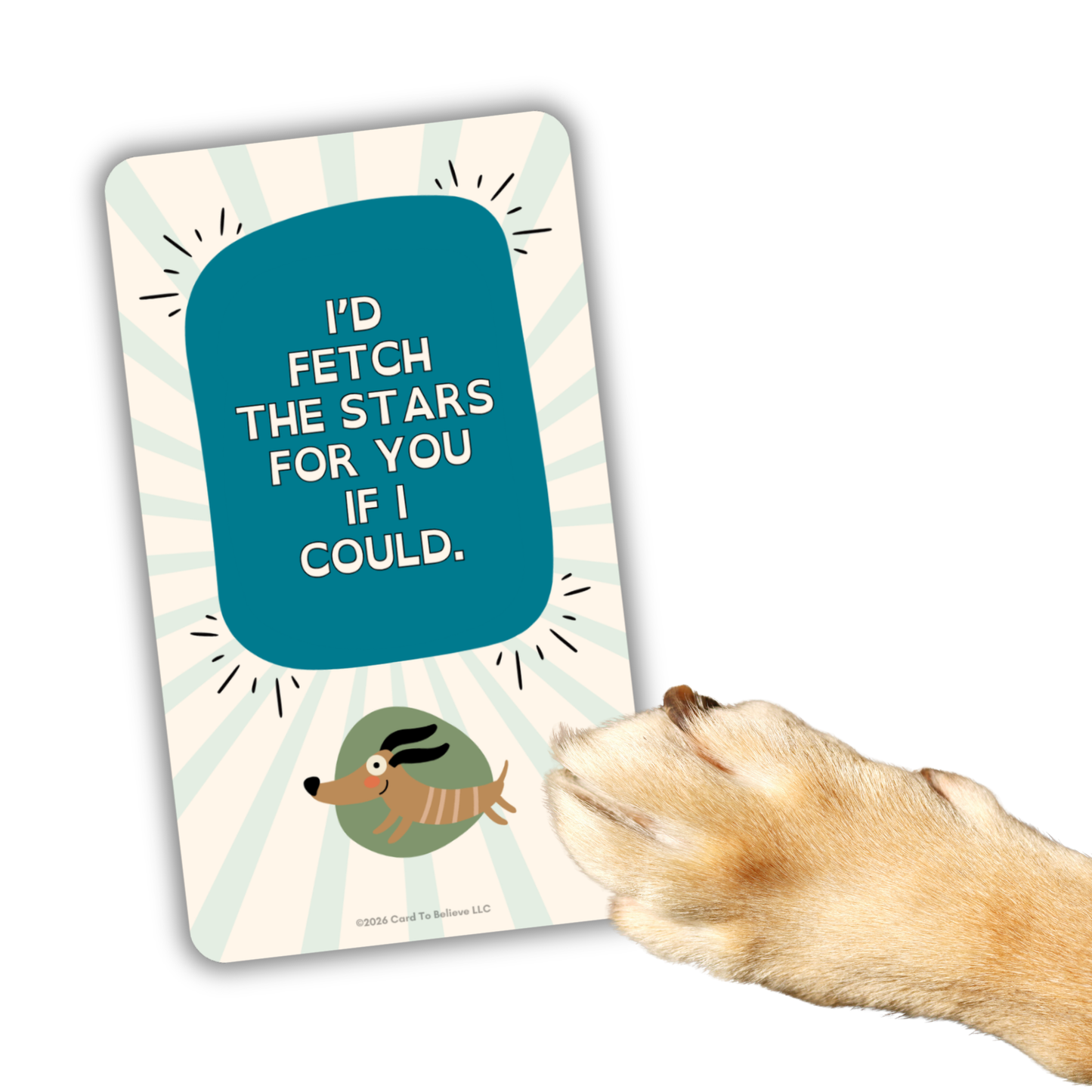 ARFirmations: The Affirmation Deck Written By Dogs