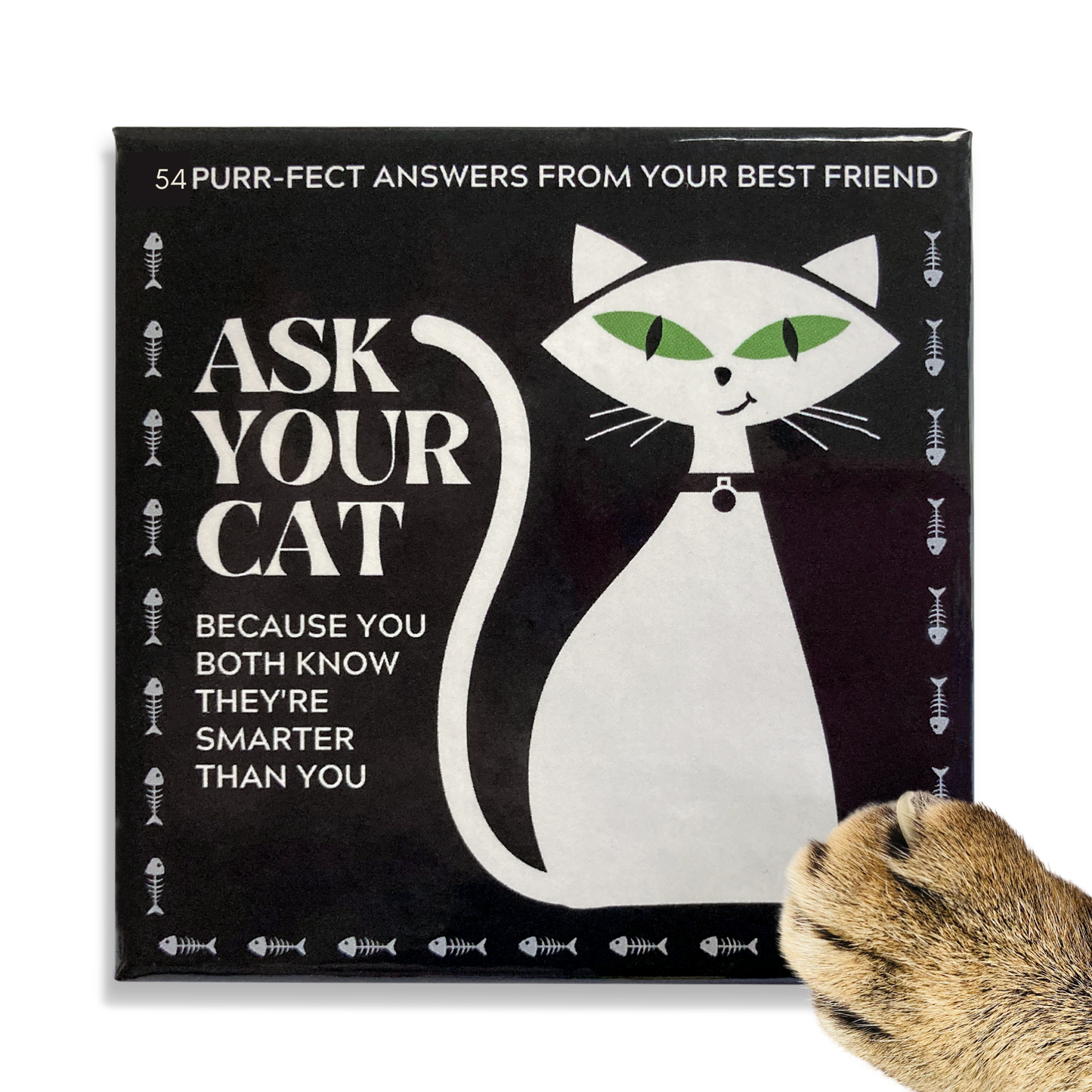 ASK YOUR CAT: The Oracle Deck With Cattitude