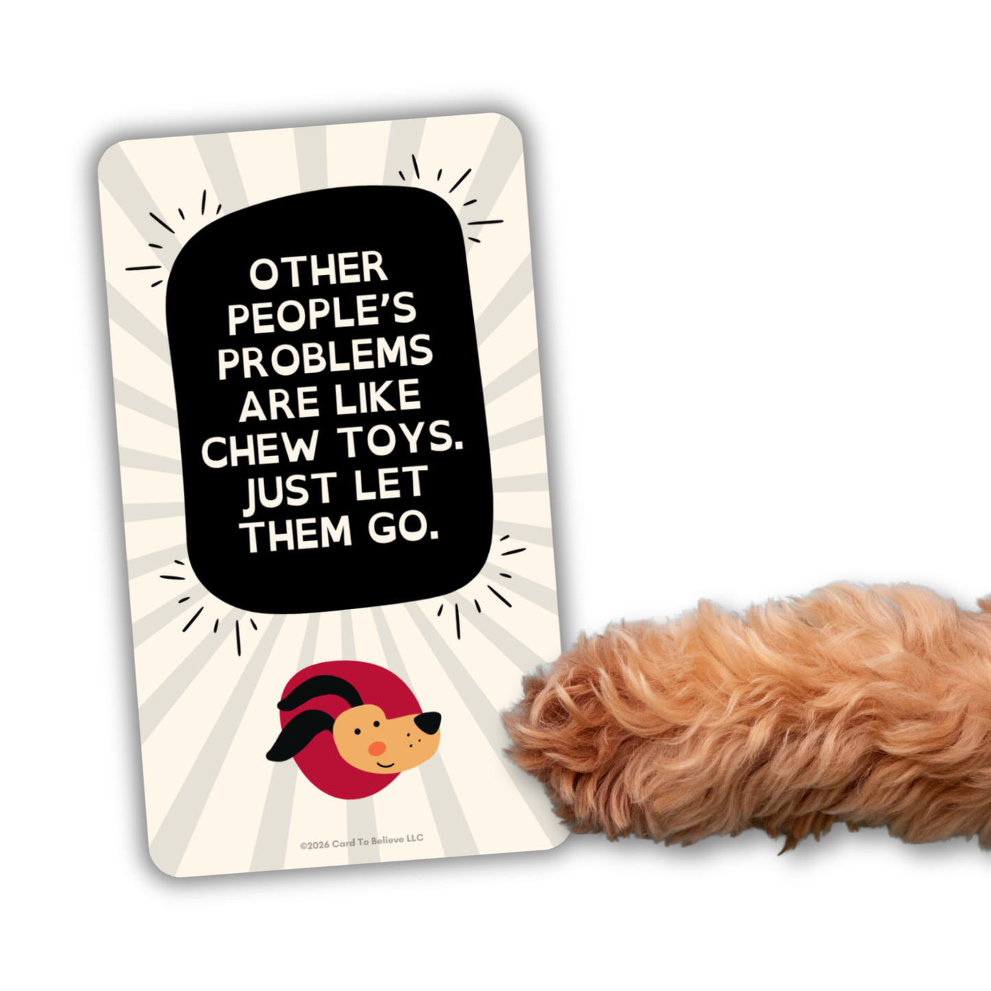 ARFirmations: The Affirmation Deck Written By Dogs