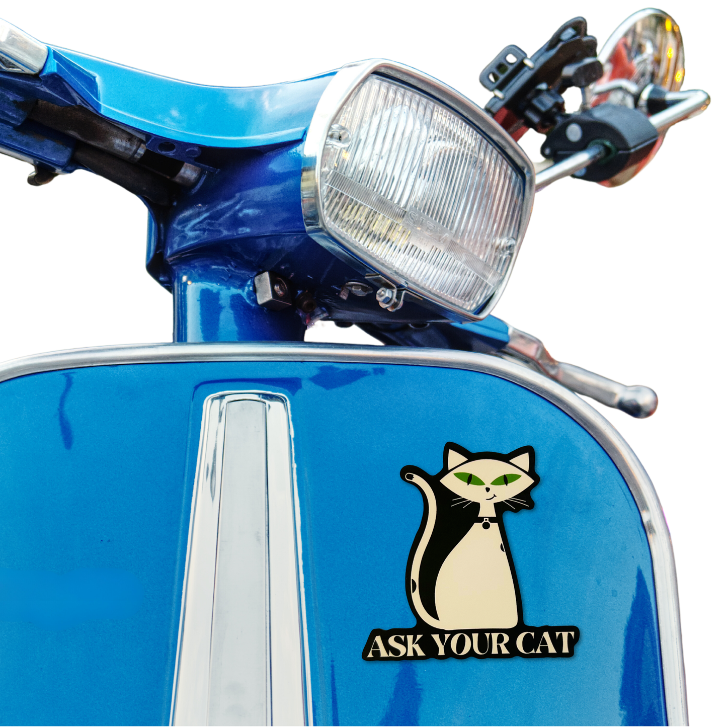 ASK YOUR CAT STICKER