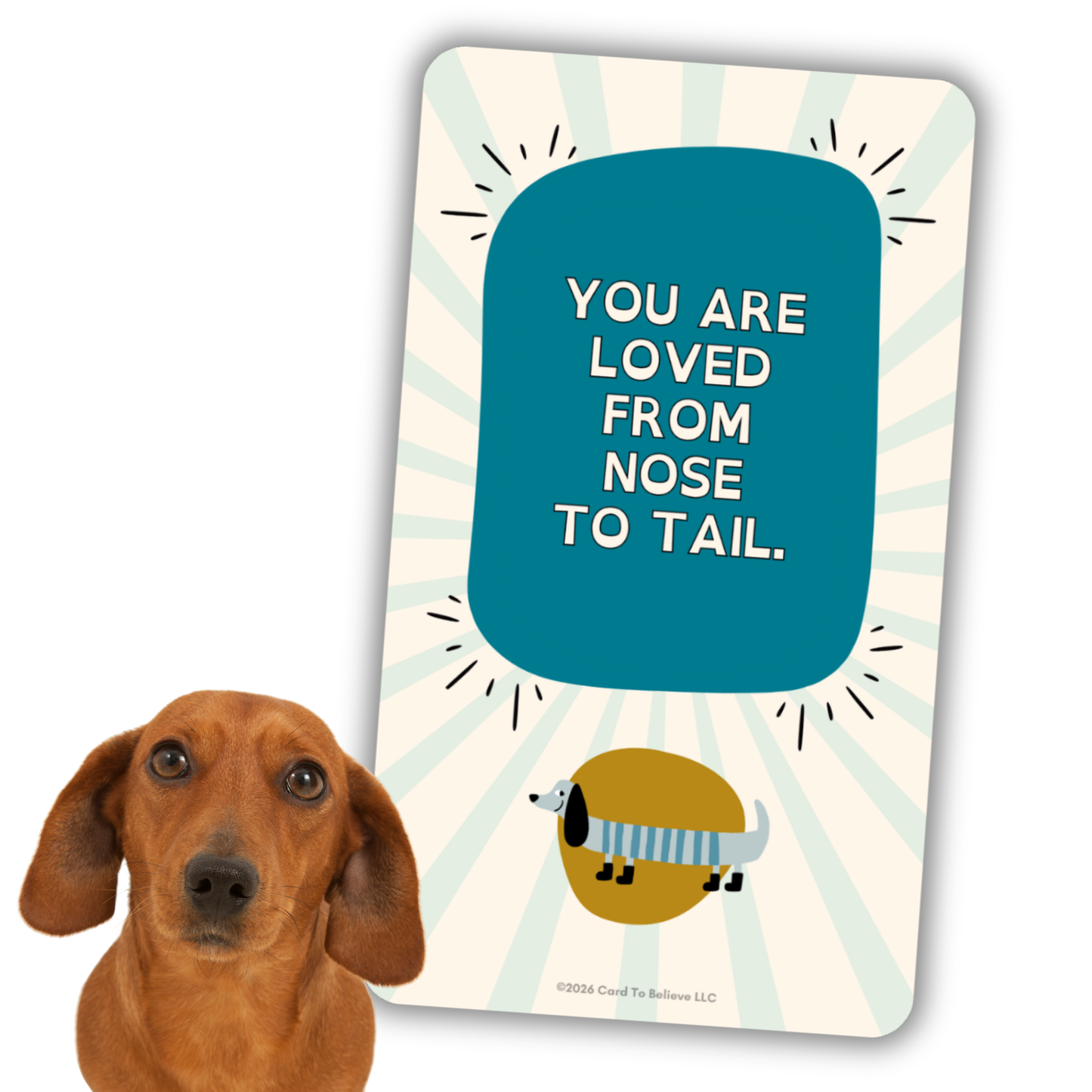 ARFirmations: The Affirmation Deck Written By Dogs