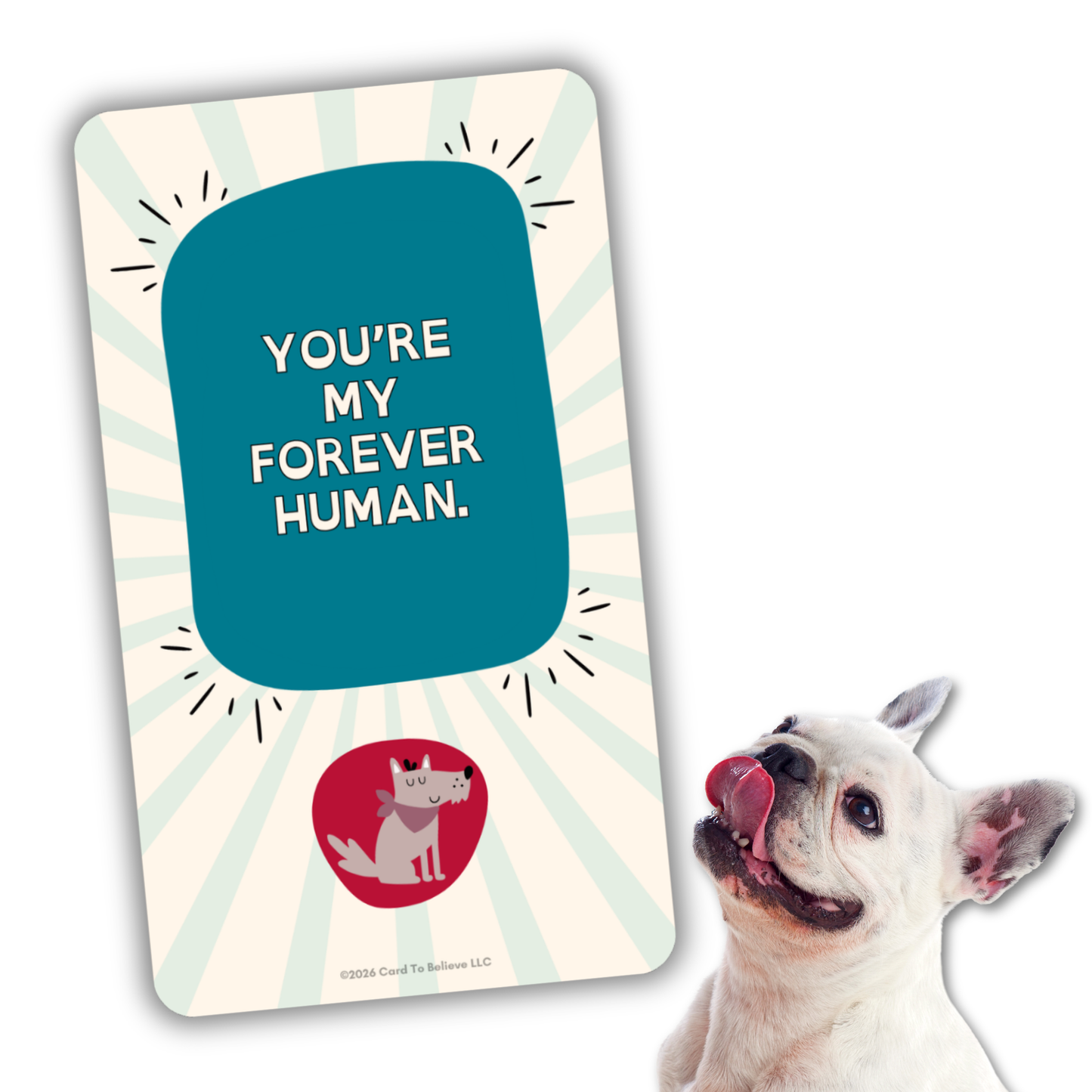 ARFirmations: The Affirmation Deck Written By Dogs