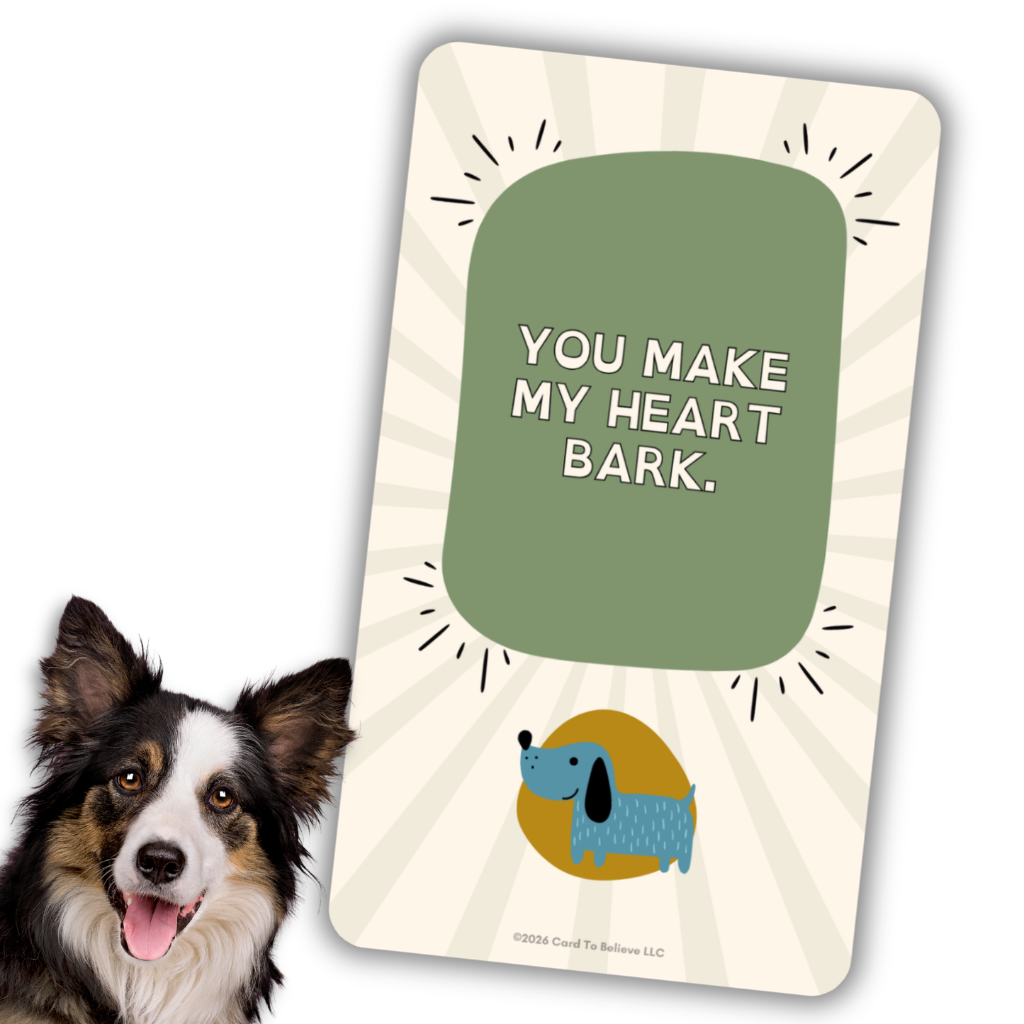 ARFirmations: The Affirmation Deck Written By Dogs