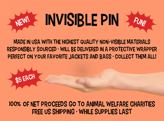 INVISIBLE PIN