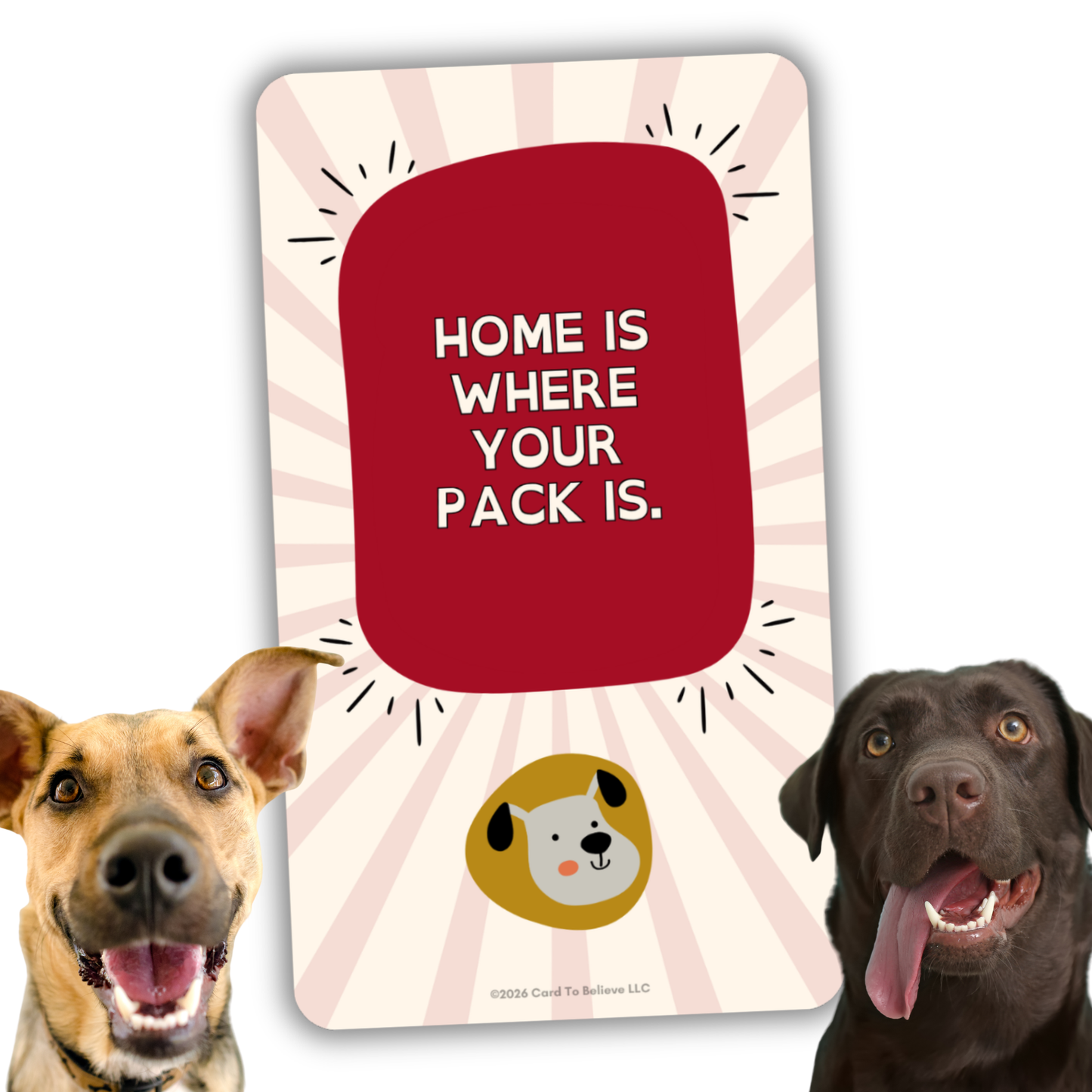 ARFirmations: The Affirmation Deck Written By Dogs