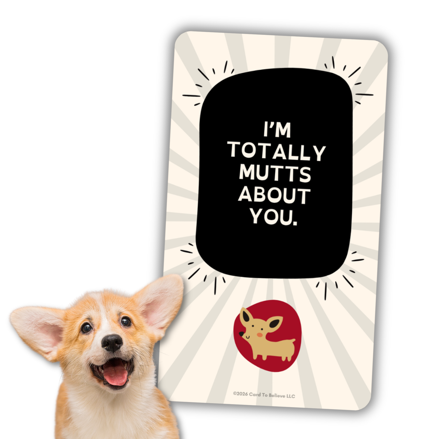 ARFirmations: The Affirmation Deck Written By Dogs