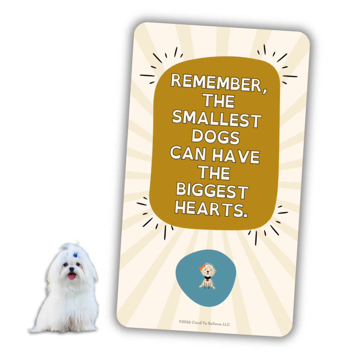 ARFirmations: The Affirmation Deck Written By Dogs